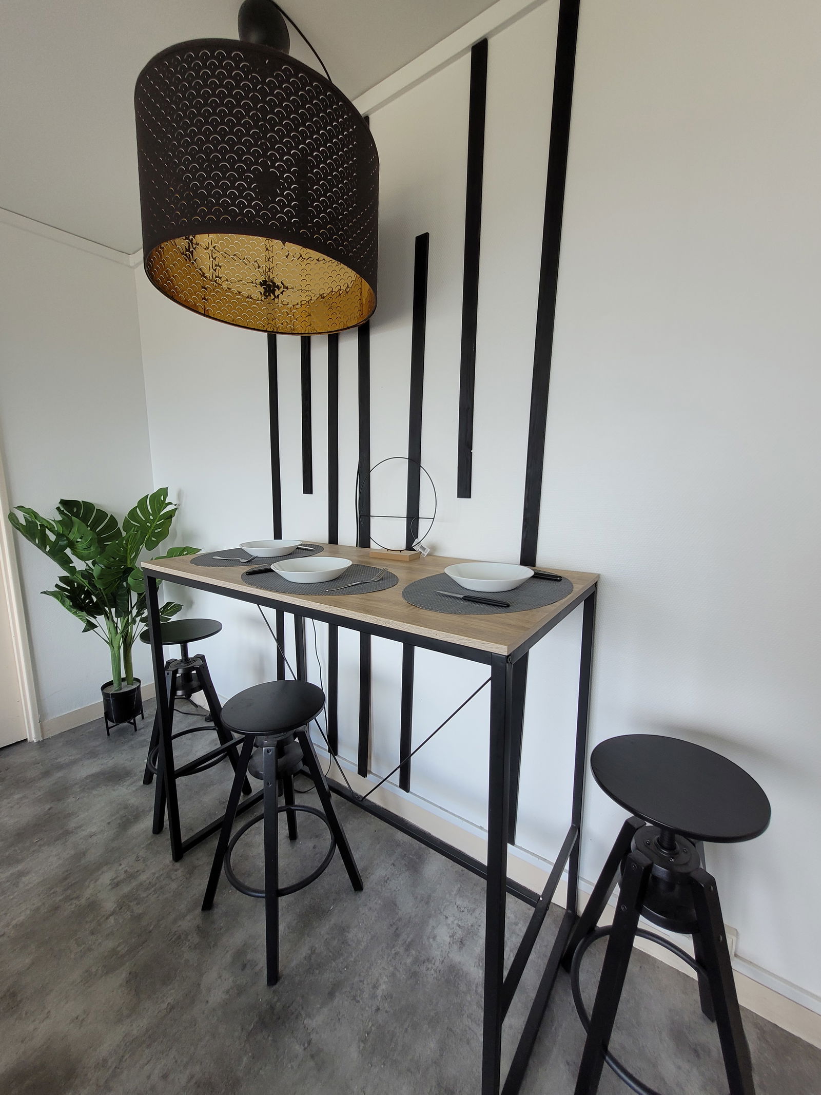 Colocation Orléans 230705