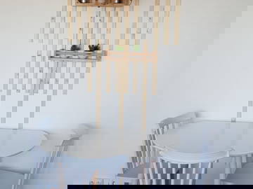 Colocation Orléans 263200-4