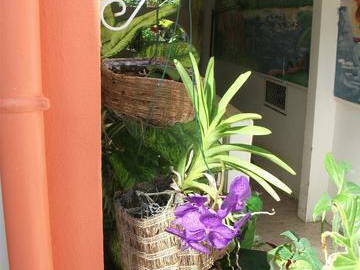 Colocation Port-Louis 24914-4