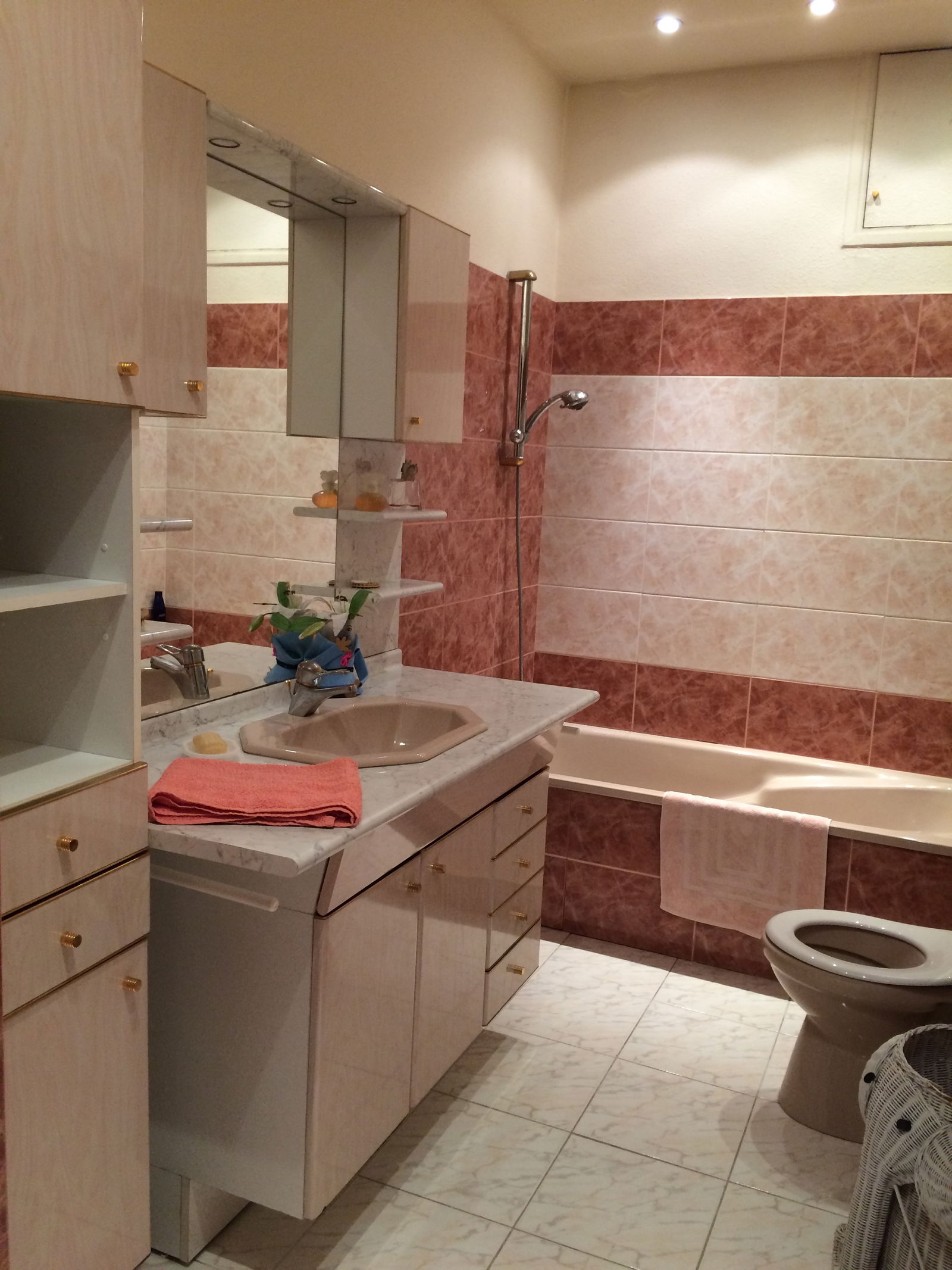 Colocation Saint-Jean 252487