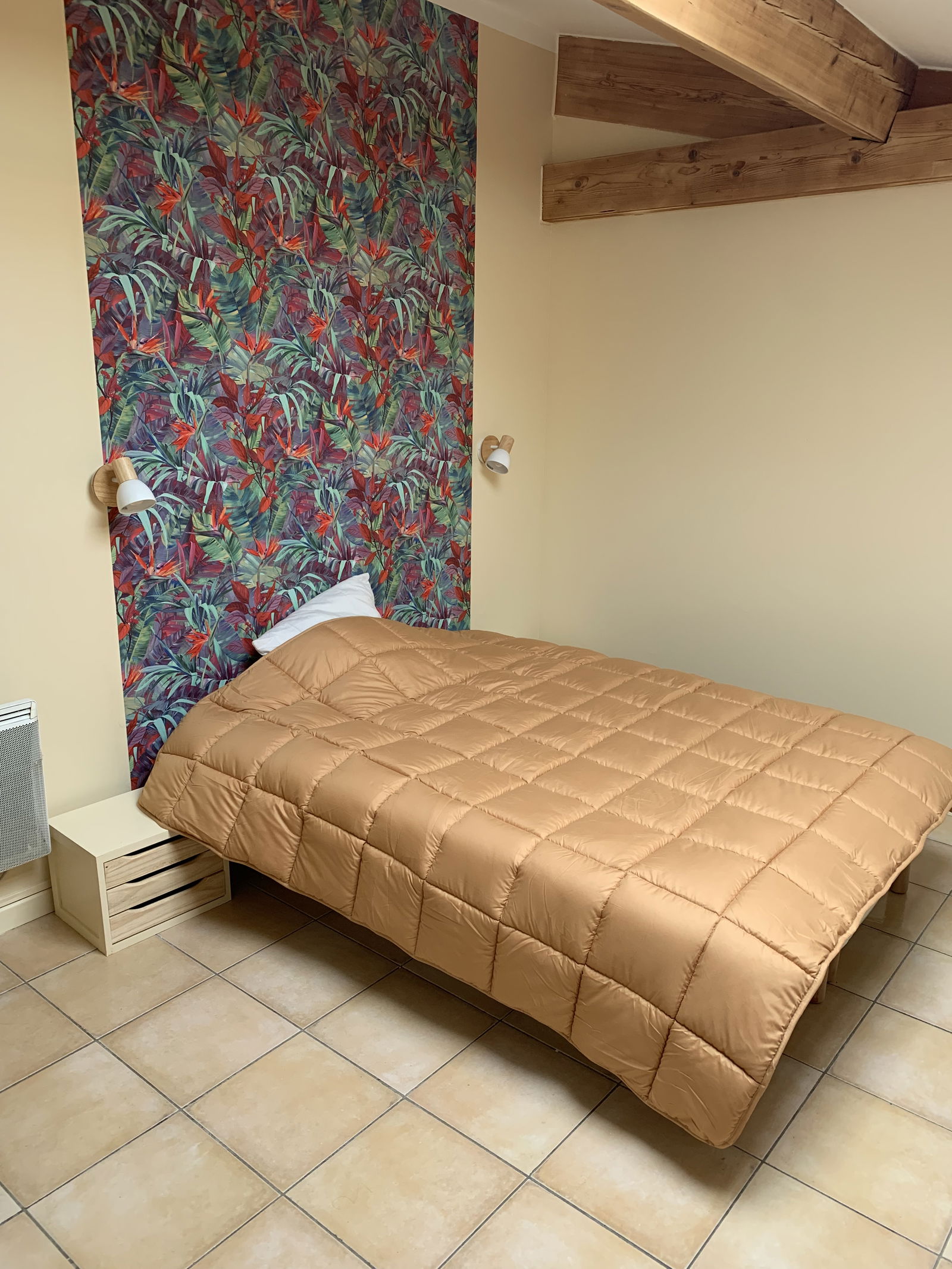 Colocation Montpellier 246366