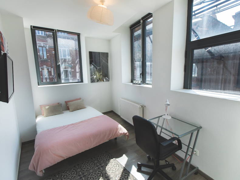 Logement Entier Lille 248510-3