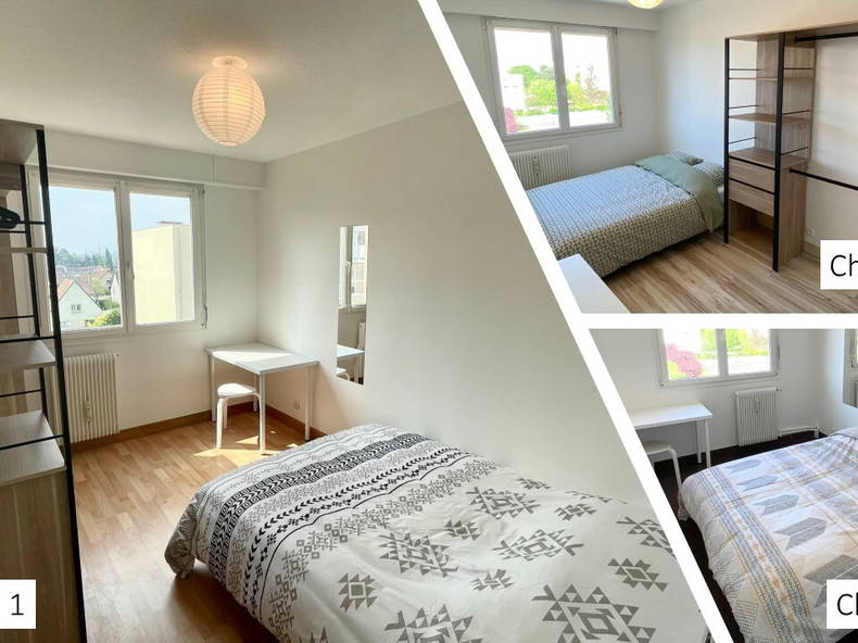 Colocation Dijon 258621-2