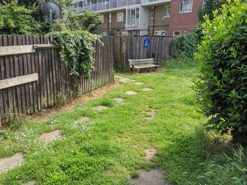 Kolokasie London 137558