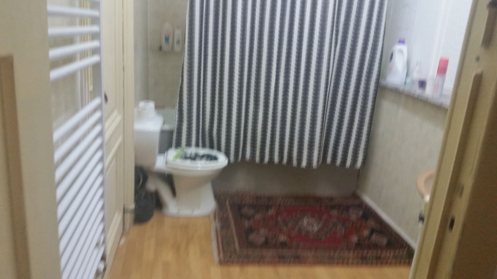 Kolokasie Liège 134764