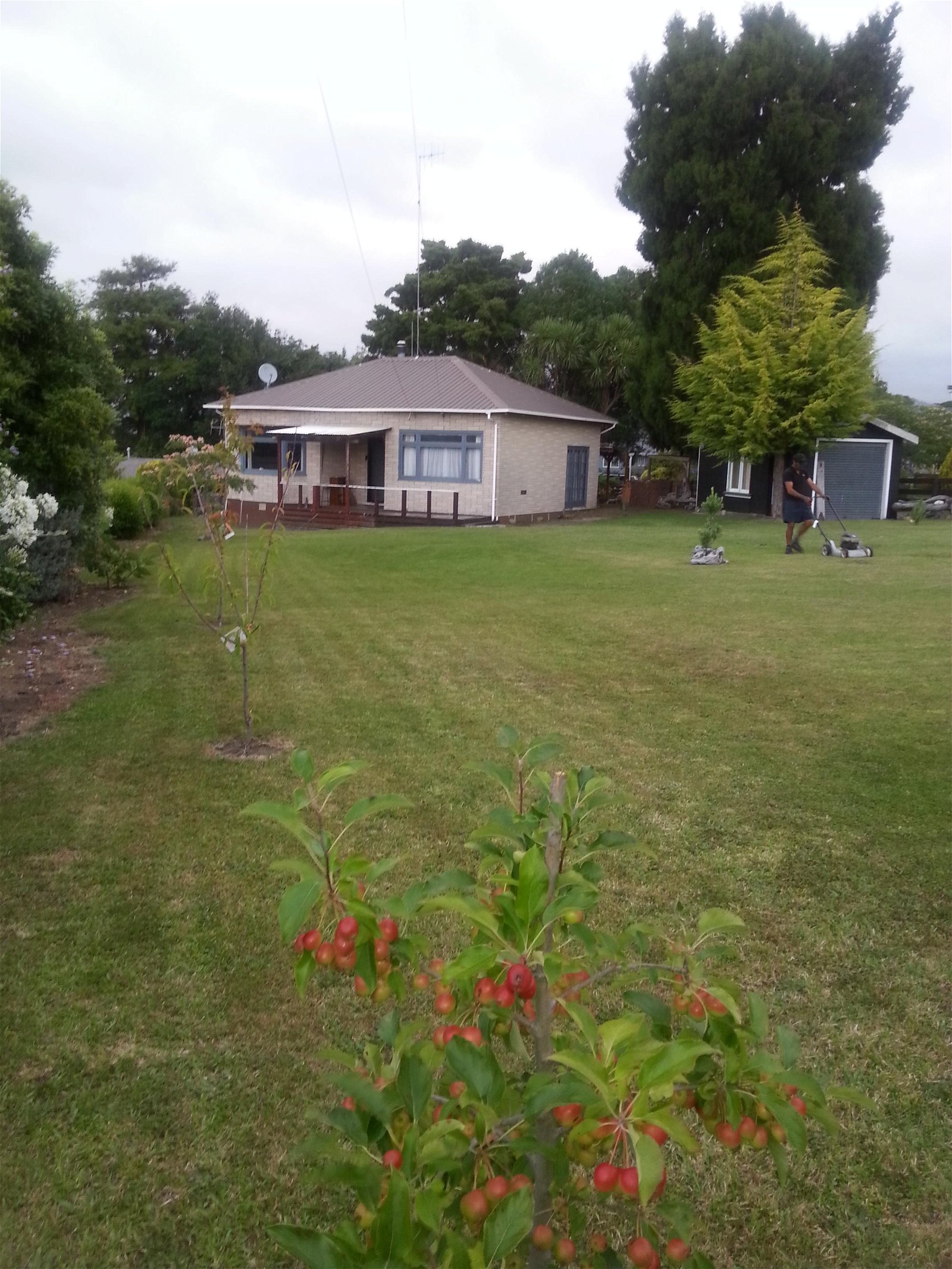Colocation Opotiki 122819
