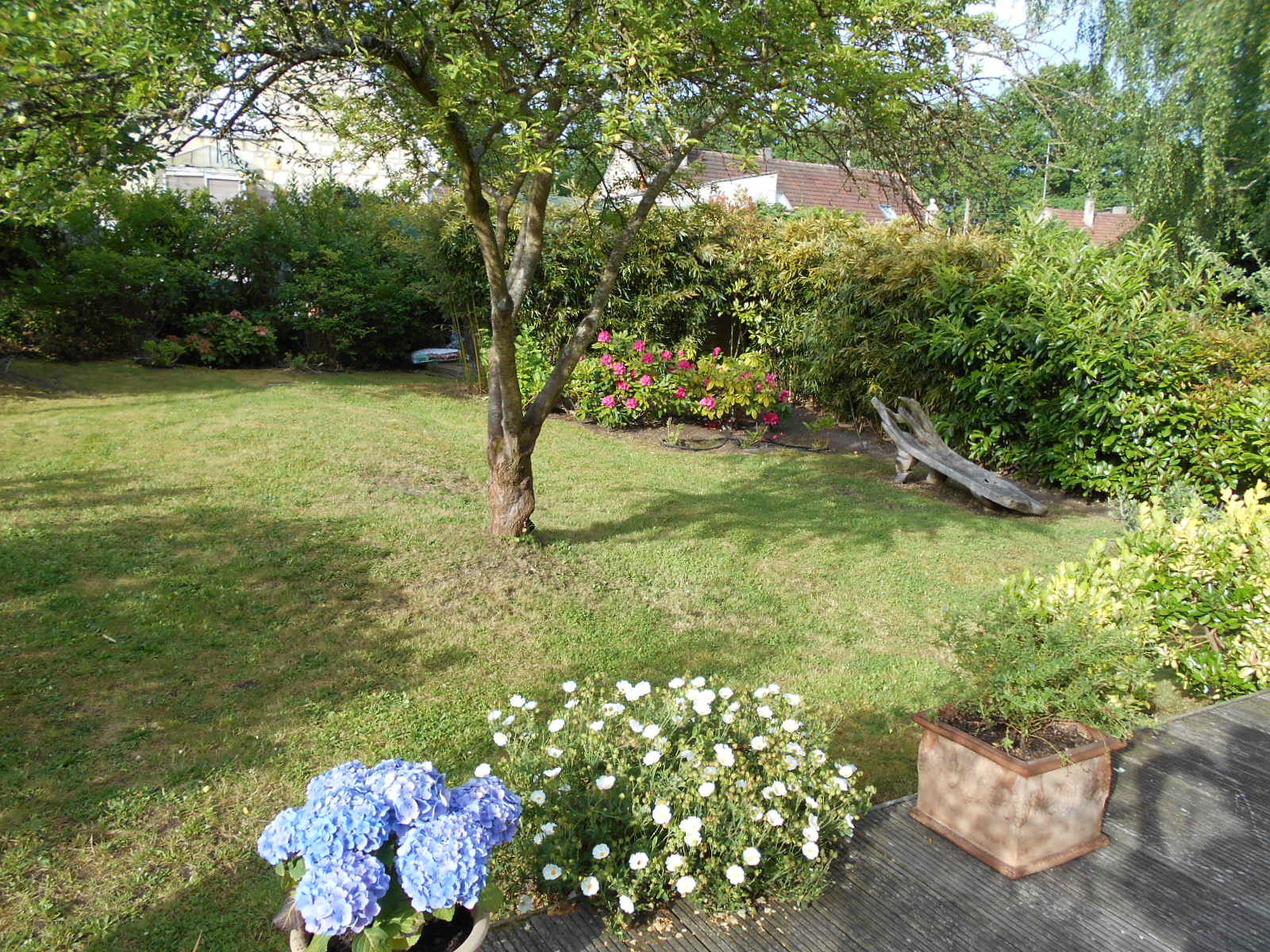 Colocation Survilliers 232120