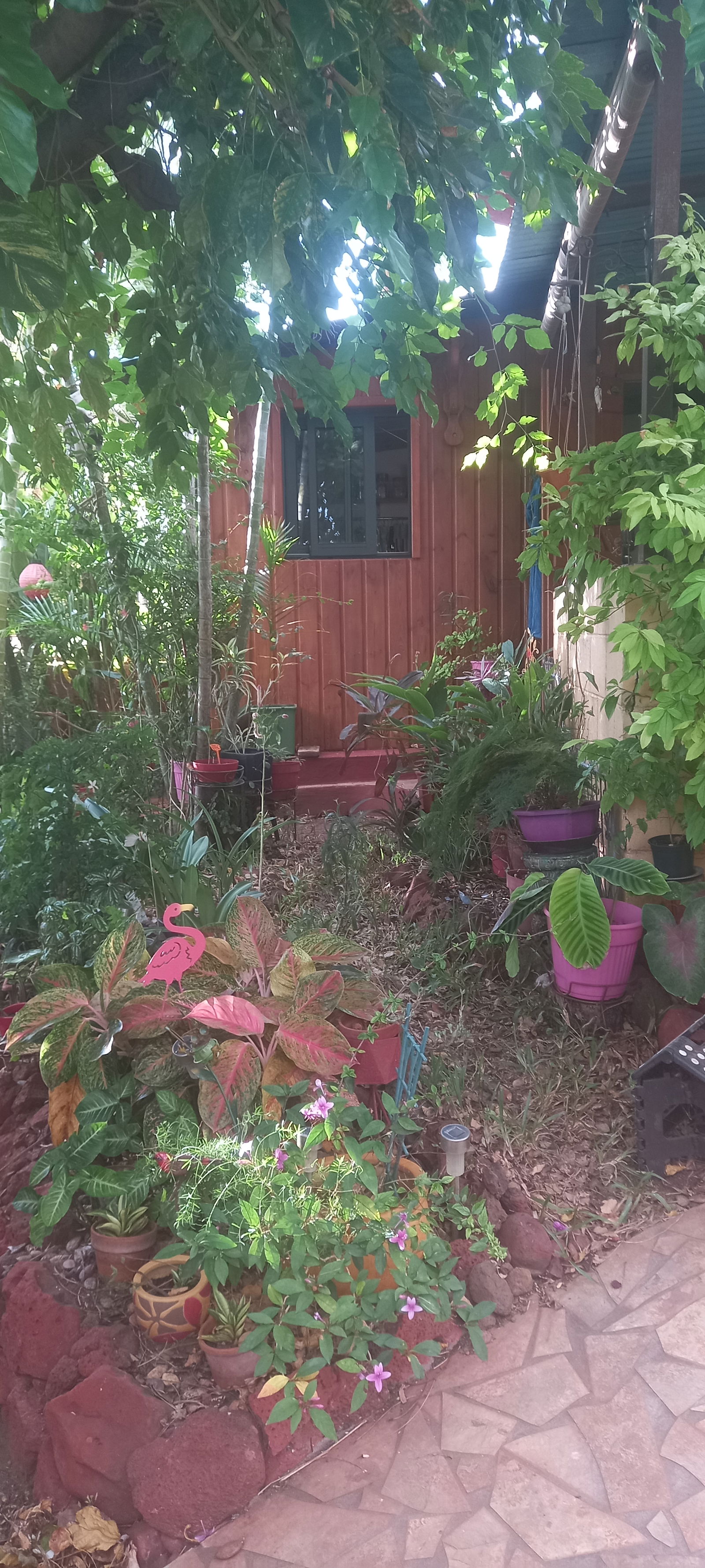 Homestay Saint-Paul 390828