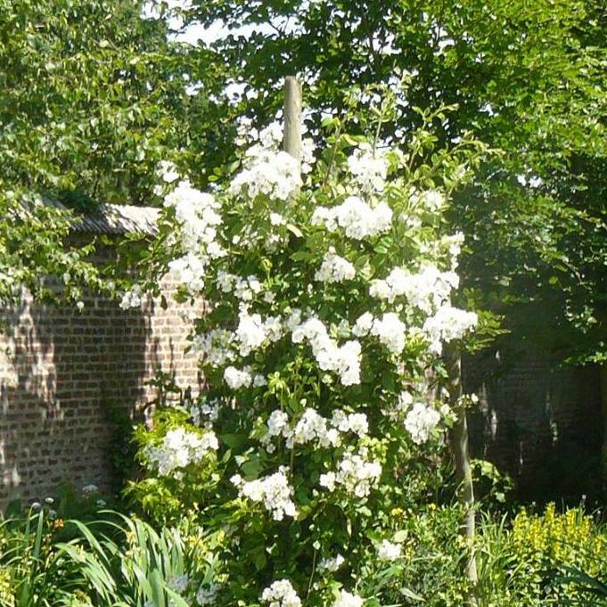 Homestay Tatinghem 131060