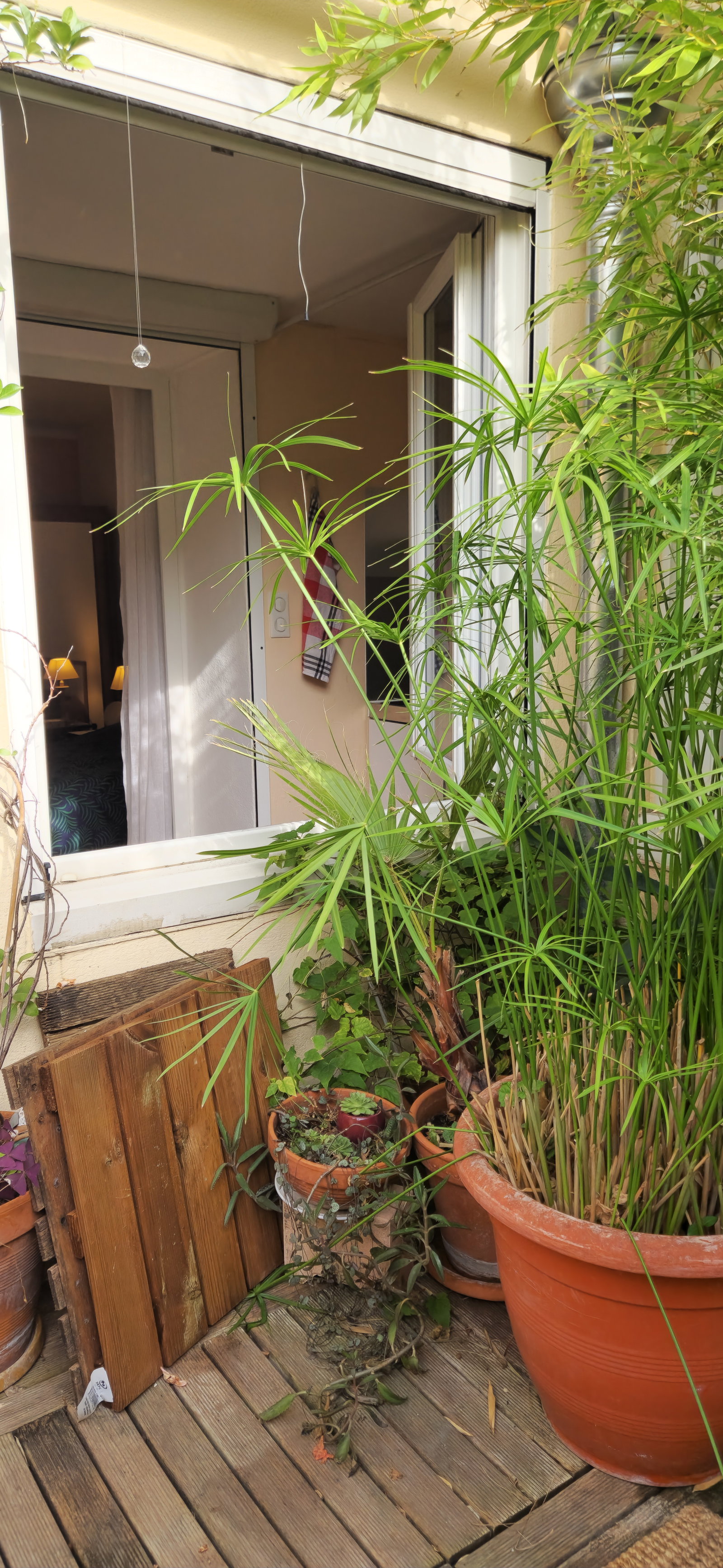 Homestay Sète 78245