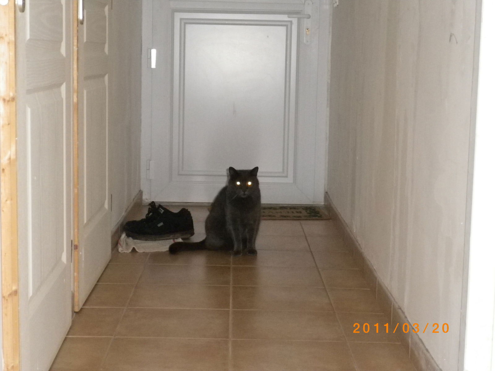 Colocation Nonglard 182247