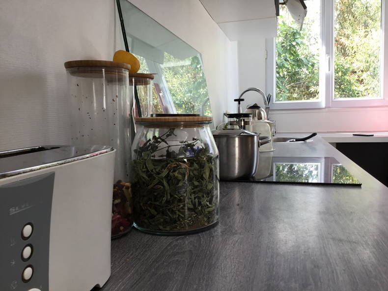 Homestay Fontenay-sous-Bois 225295-2