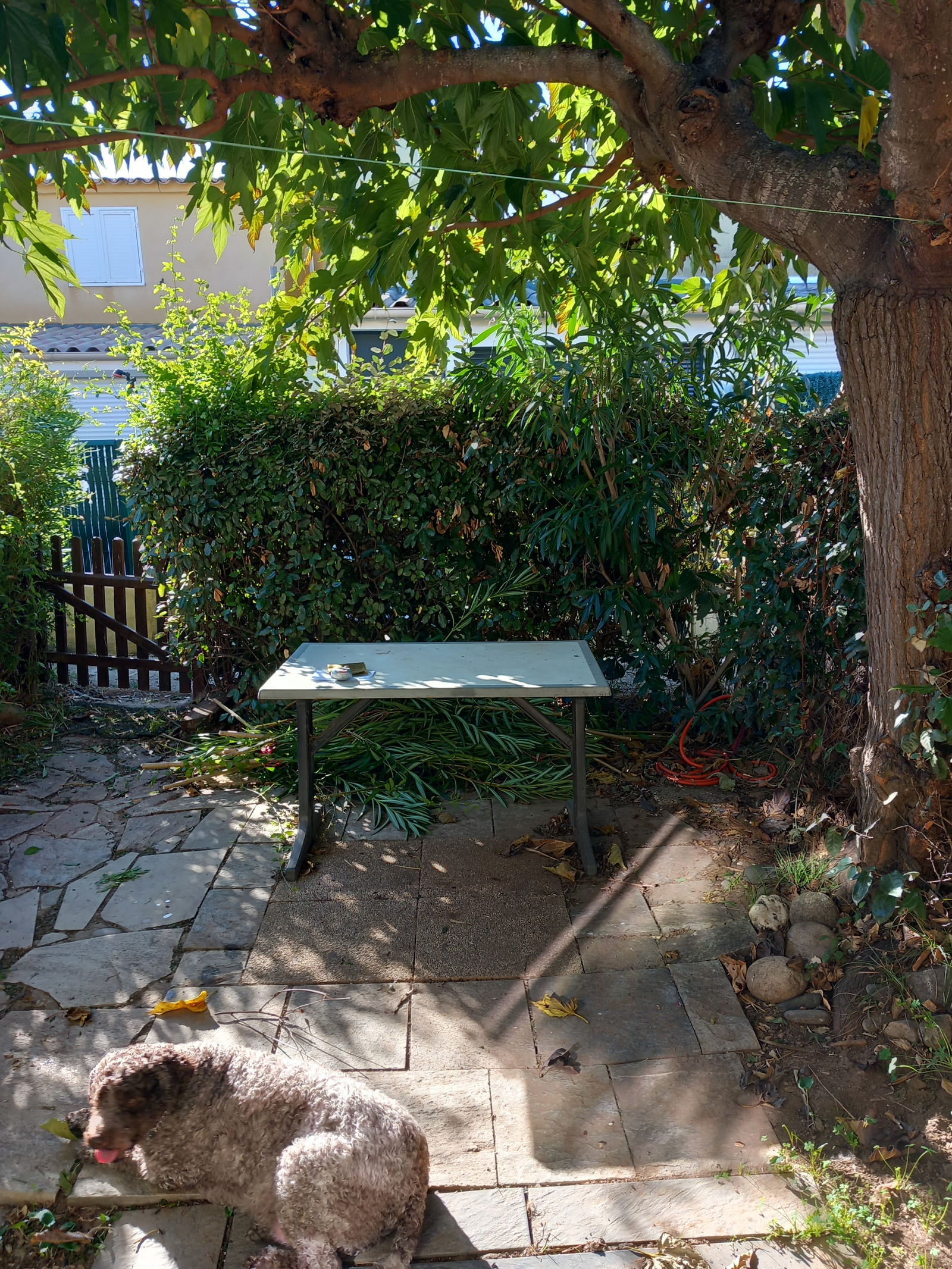 Independent Studio Poggio-Mezzana 267893