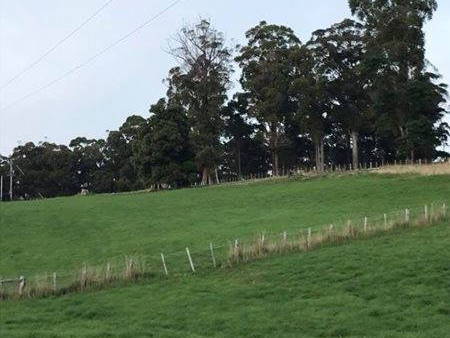 Chambre Chez L'habitant Barrington 203076-2