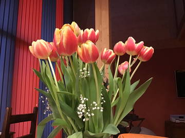 Gastfamilie Val-De-Charmey 238348-4