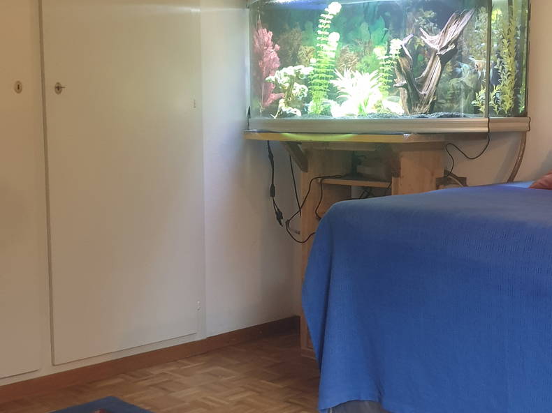 Colocation Pully 266388-3