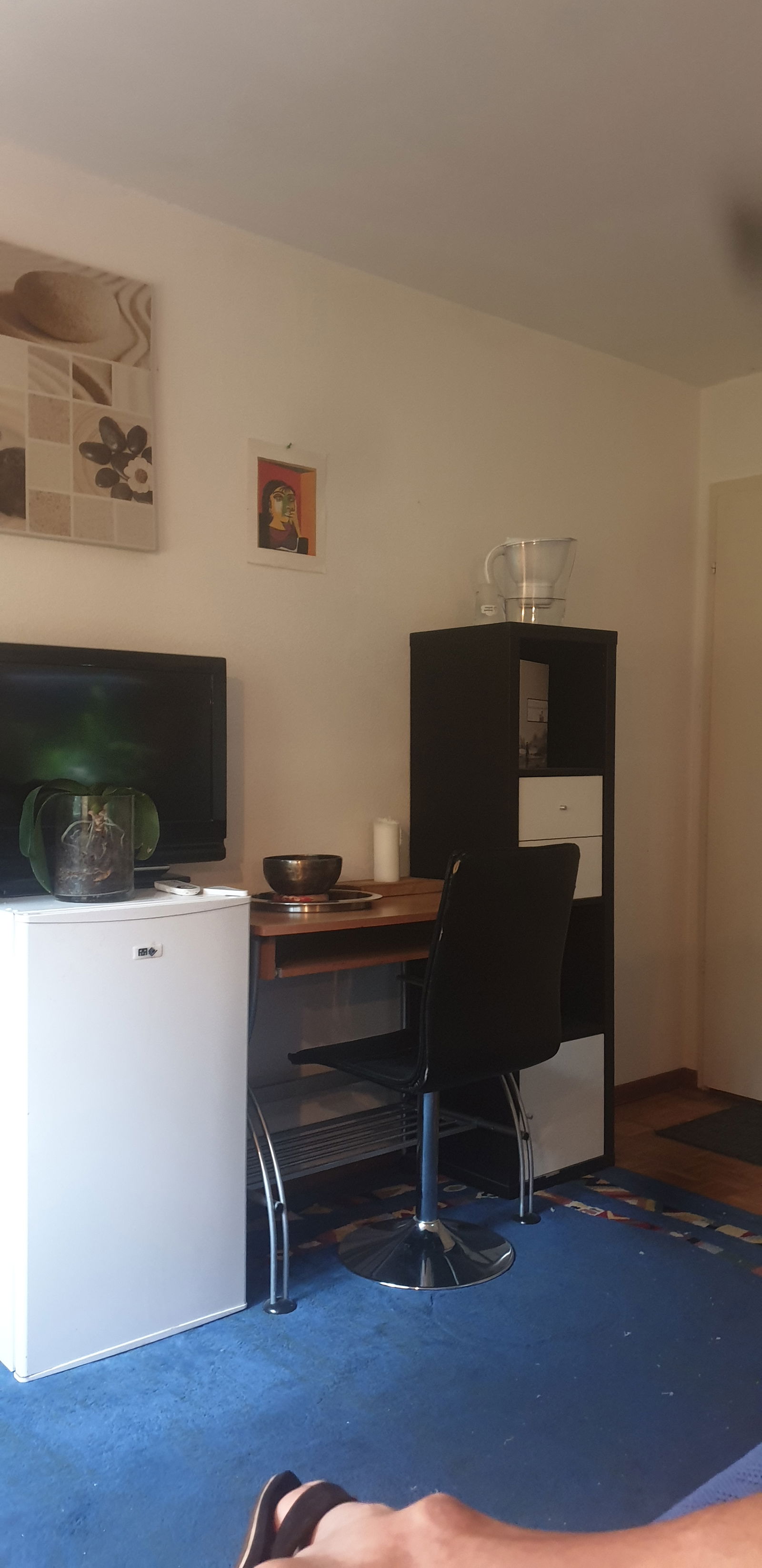 Colocation Pully 266388