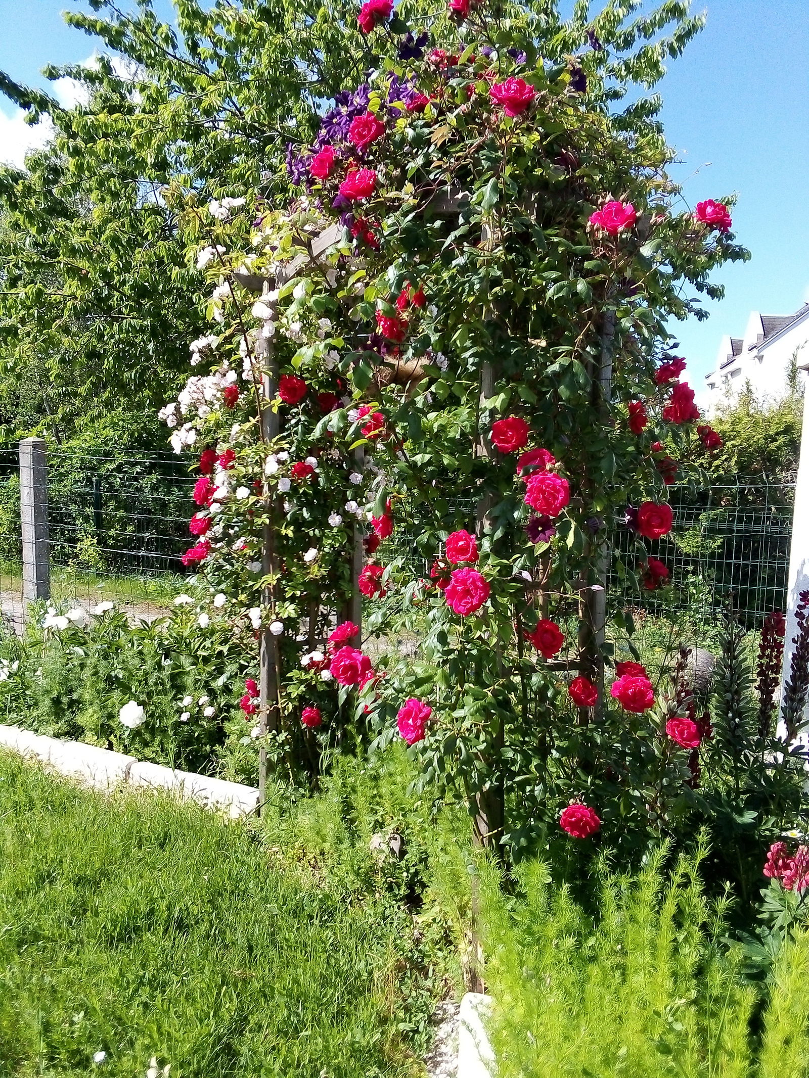 Homestay Baule 92597