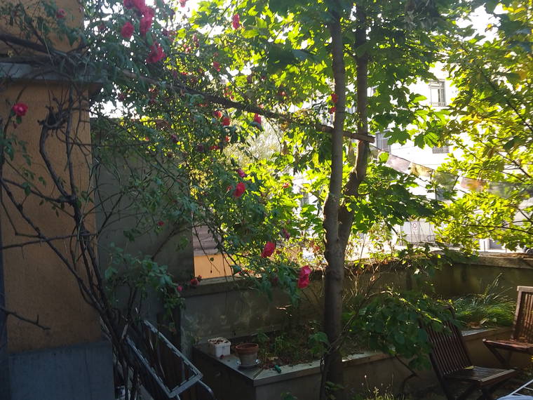 Homestay Genève 267259