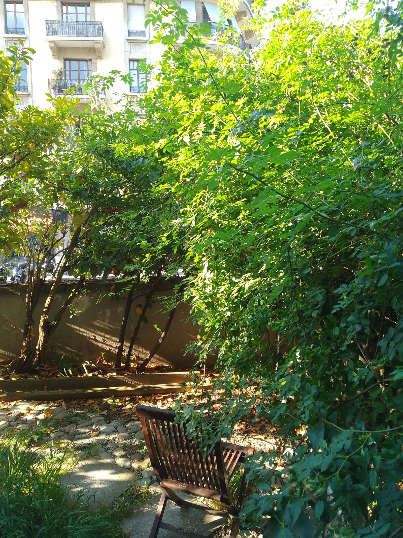 Homestay Genève 267259