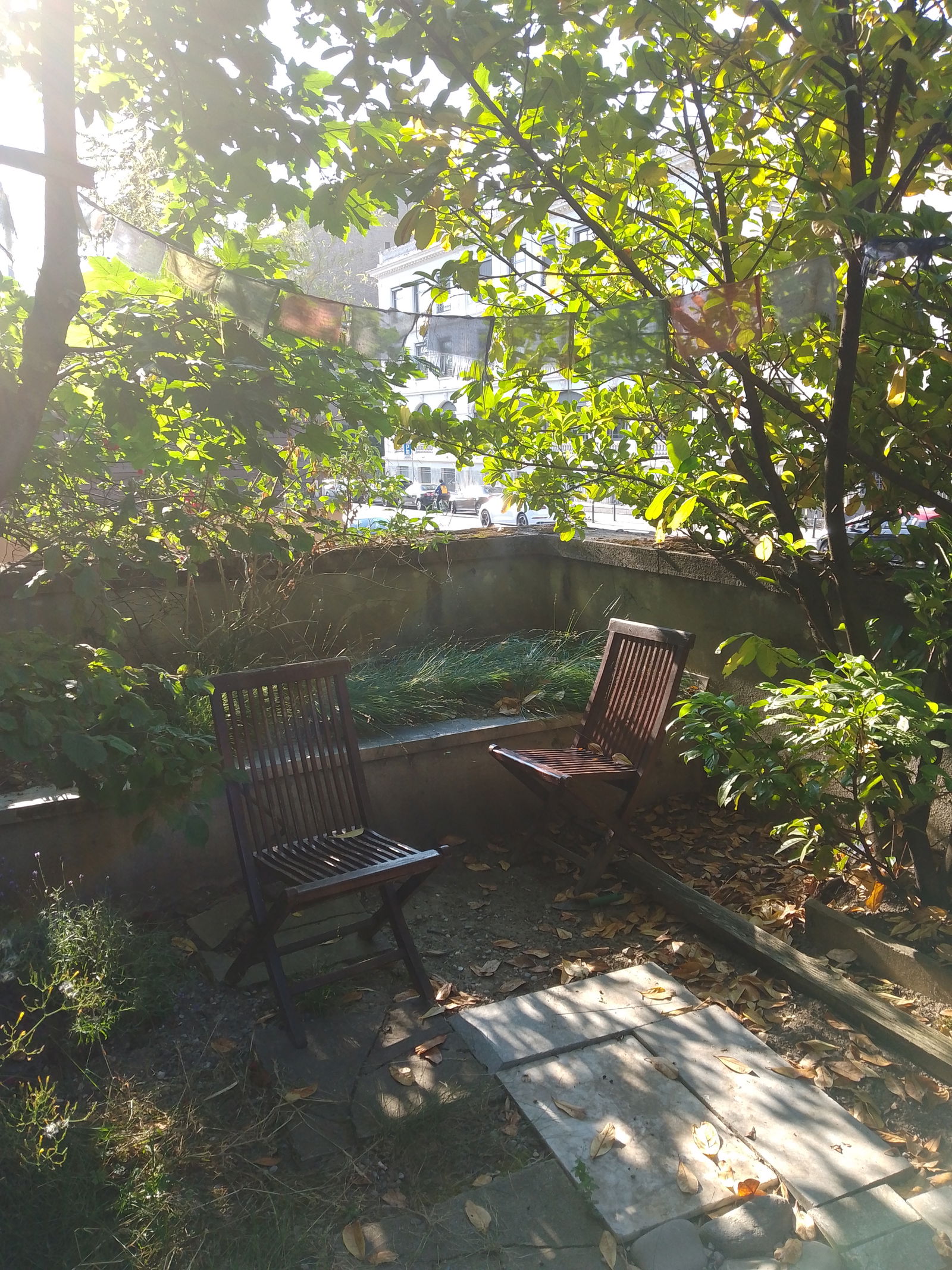 Homestay Genève 267259