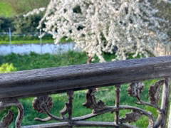 Colocation Brasles 266547-8