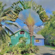 Bed And Breakfast Le Gosier 210479