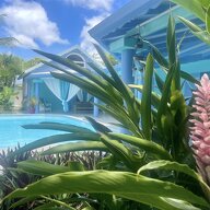 Bed And Breakfast Le Gosier 210479