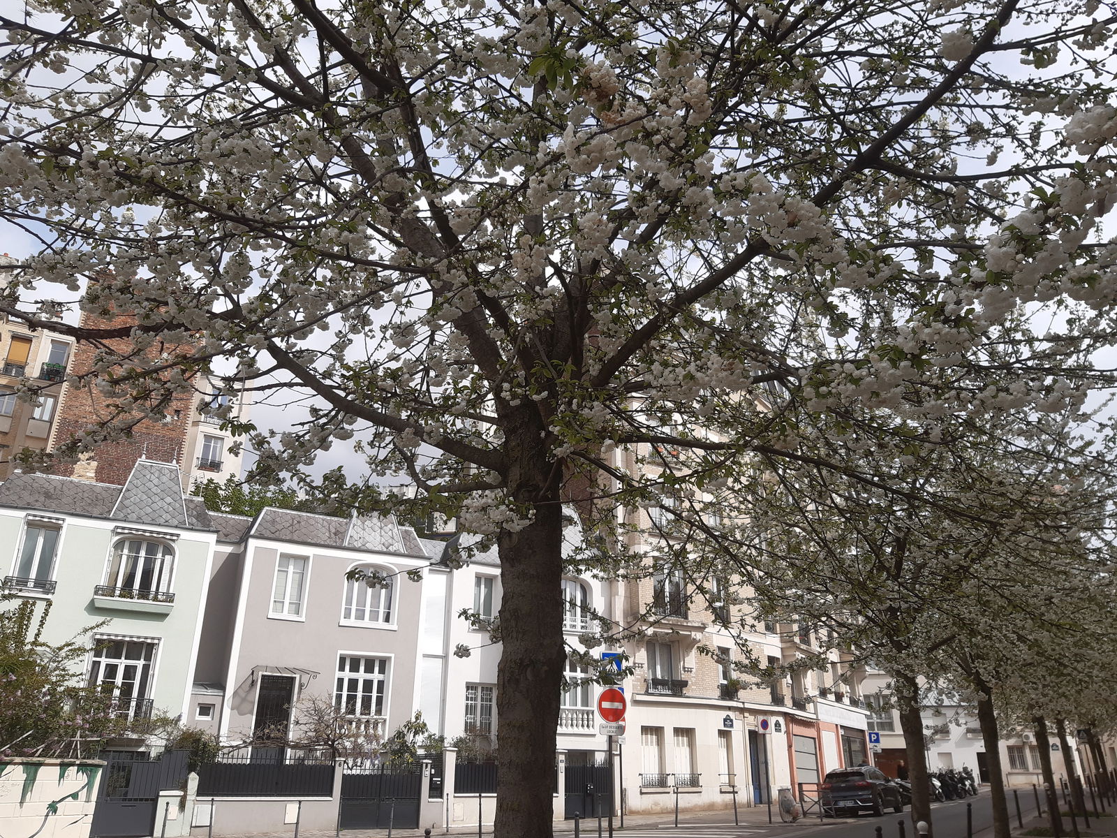 Homestay Paris 46371