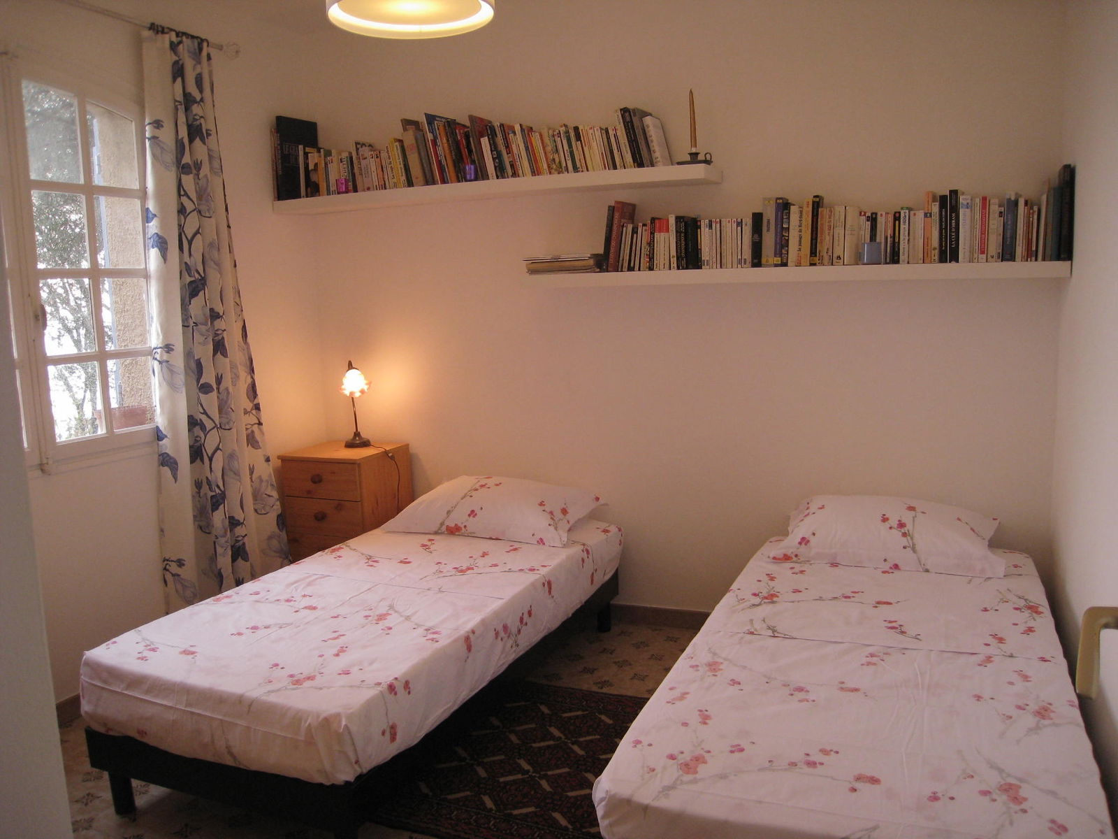 Niezależne Studio Olmeto 117132