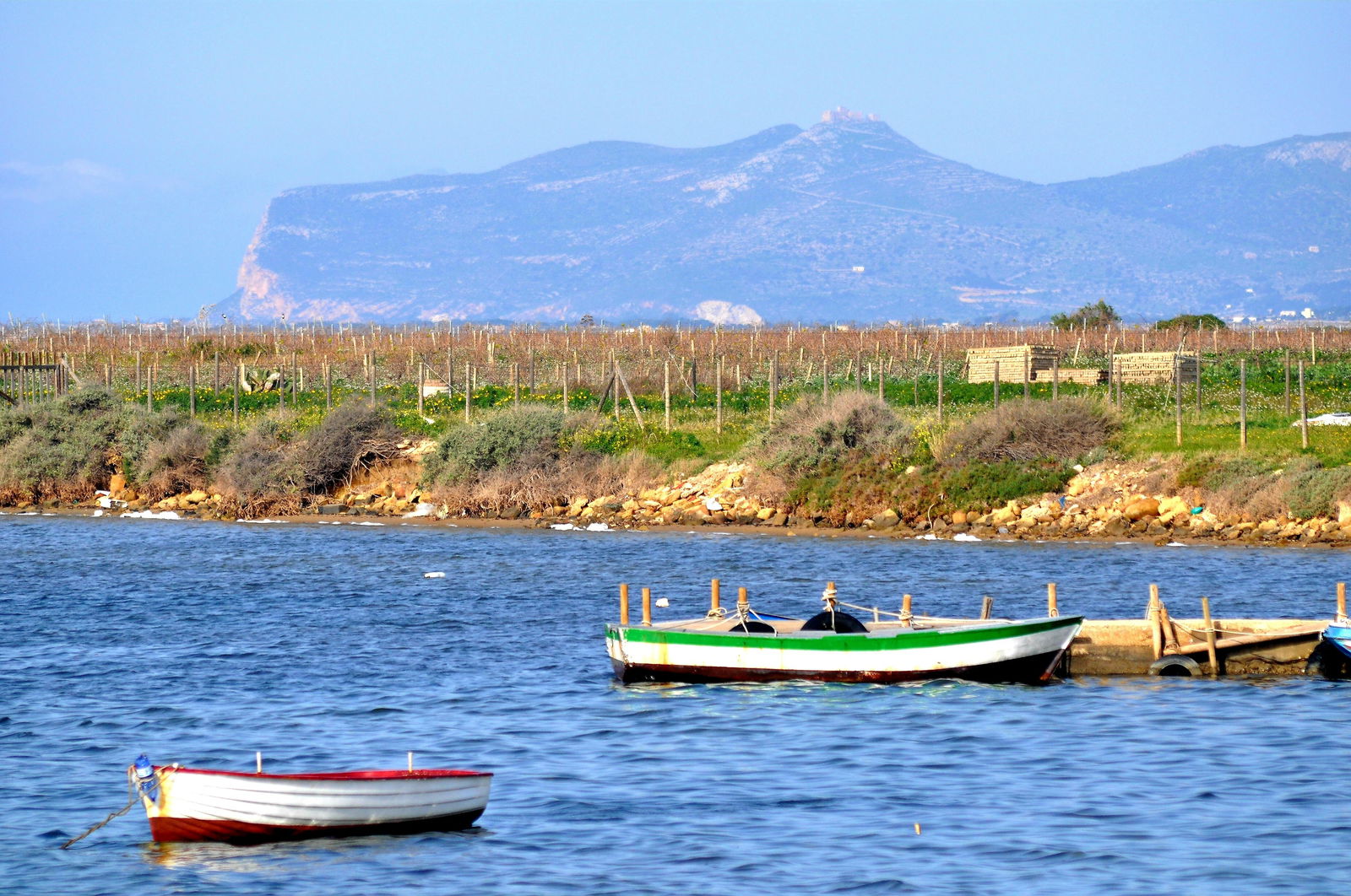 Famiglia Marsala 248691