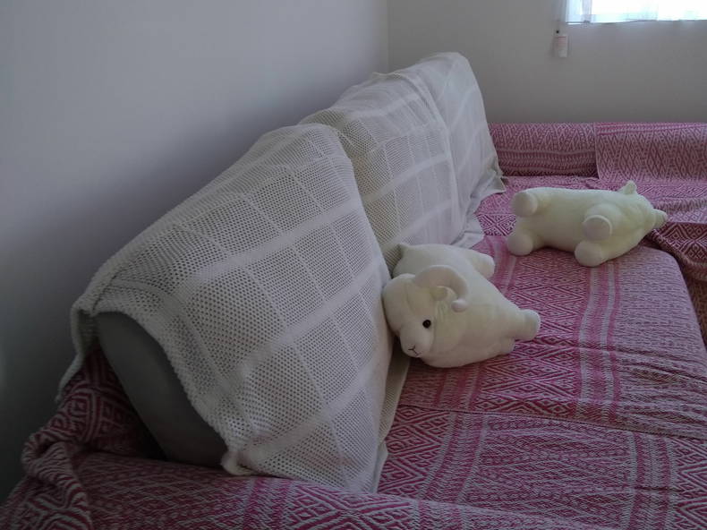 Chambre Chez L'habitant Dianella 229791-3