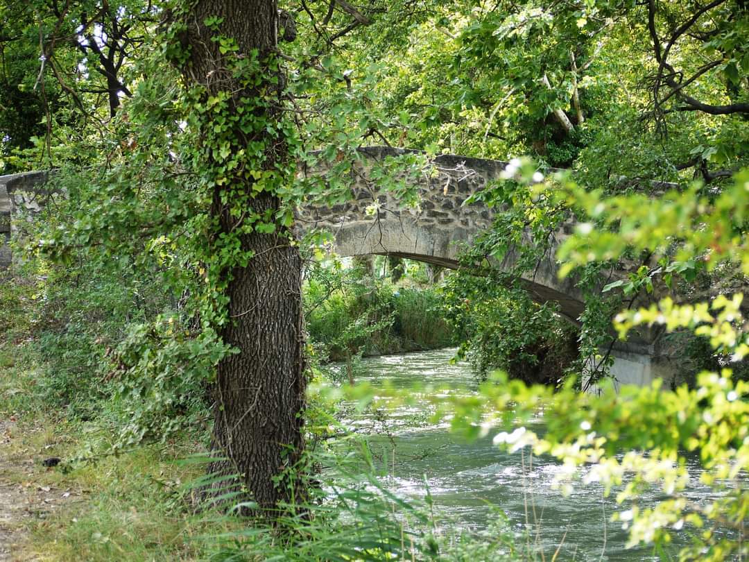 Entire Home Alleins 252267