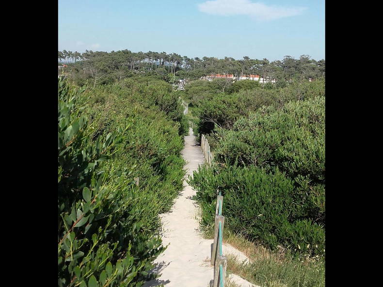 Gehele Woning Fão 174521-2