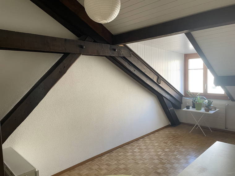 Homestay Genève 257937