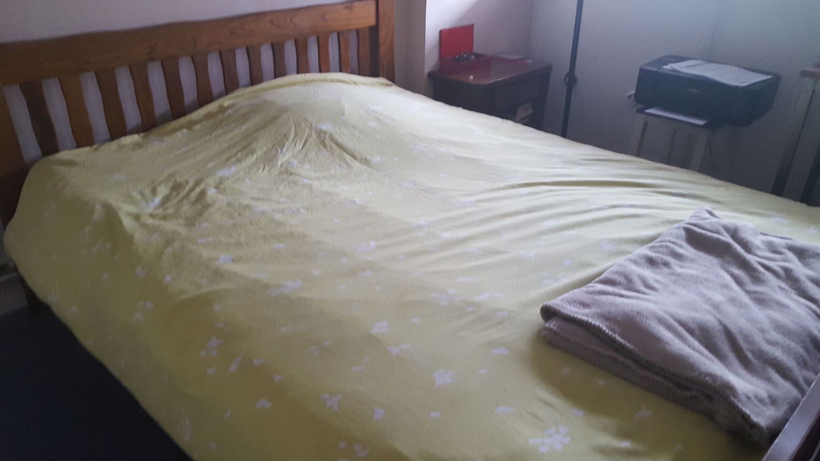 Kolokation Cestas 161903