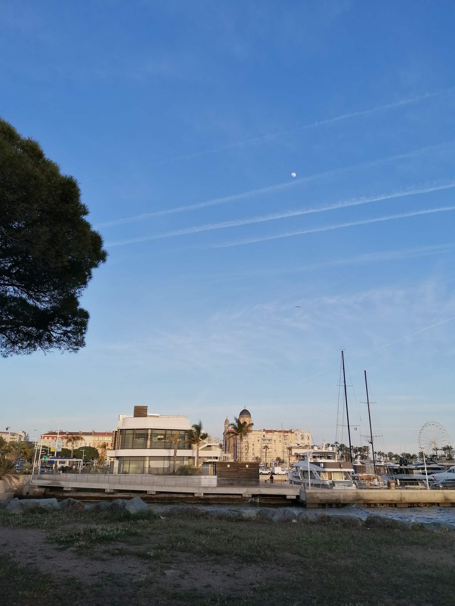 Colocation Fréjus 27742