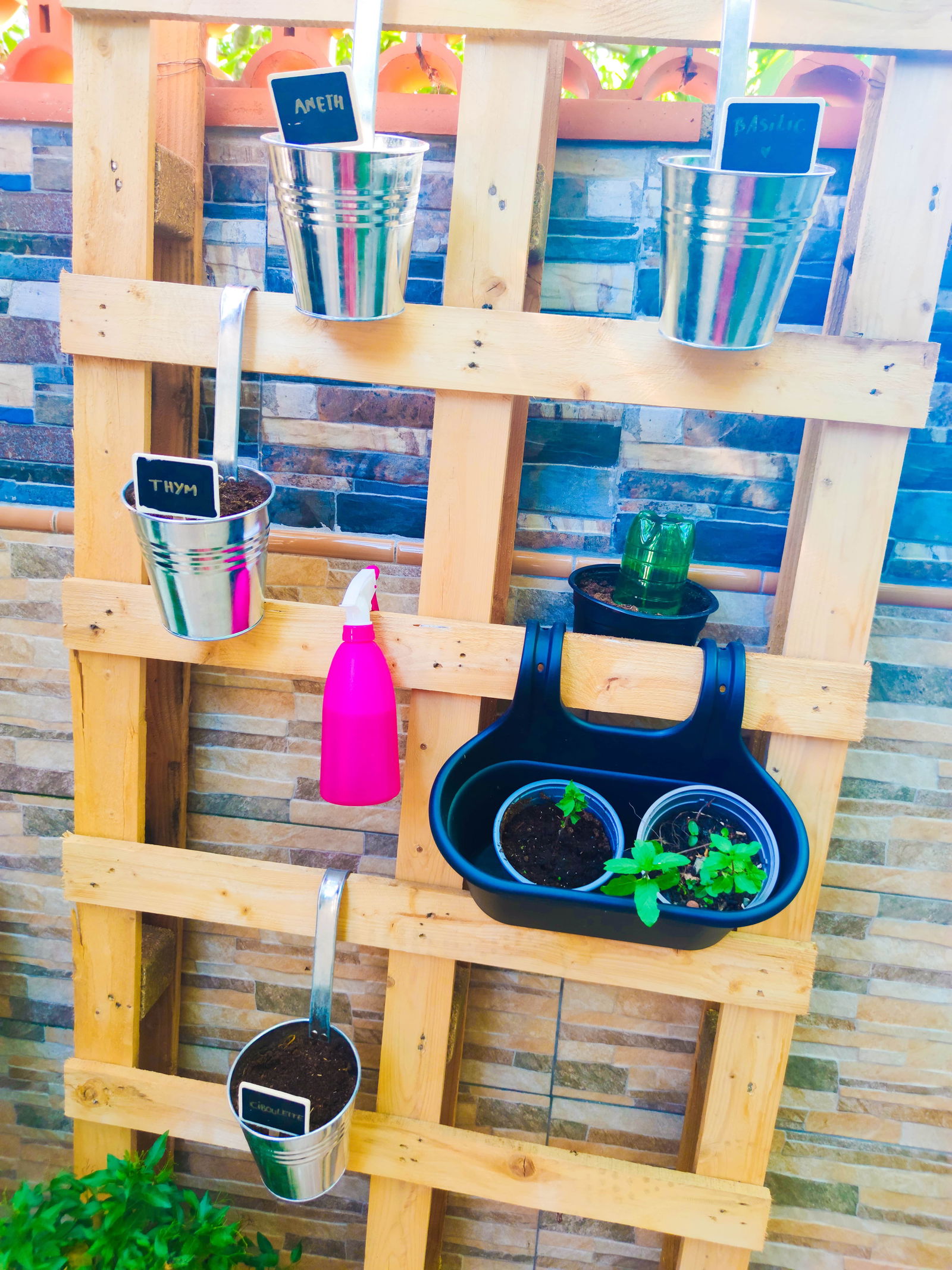 Colocation Toulouse 250225