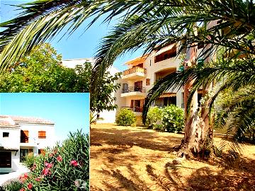 Roomlala | French Riviera Var - Saint Cyr/Mer (300 M Beach)