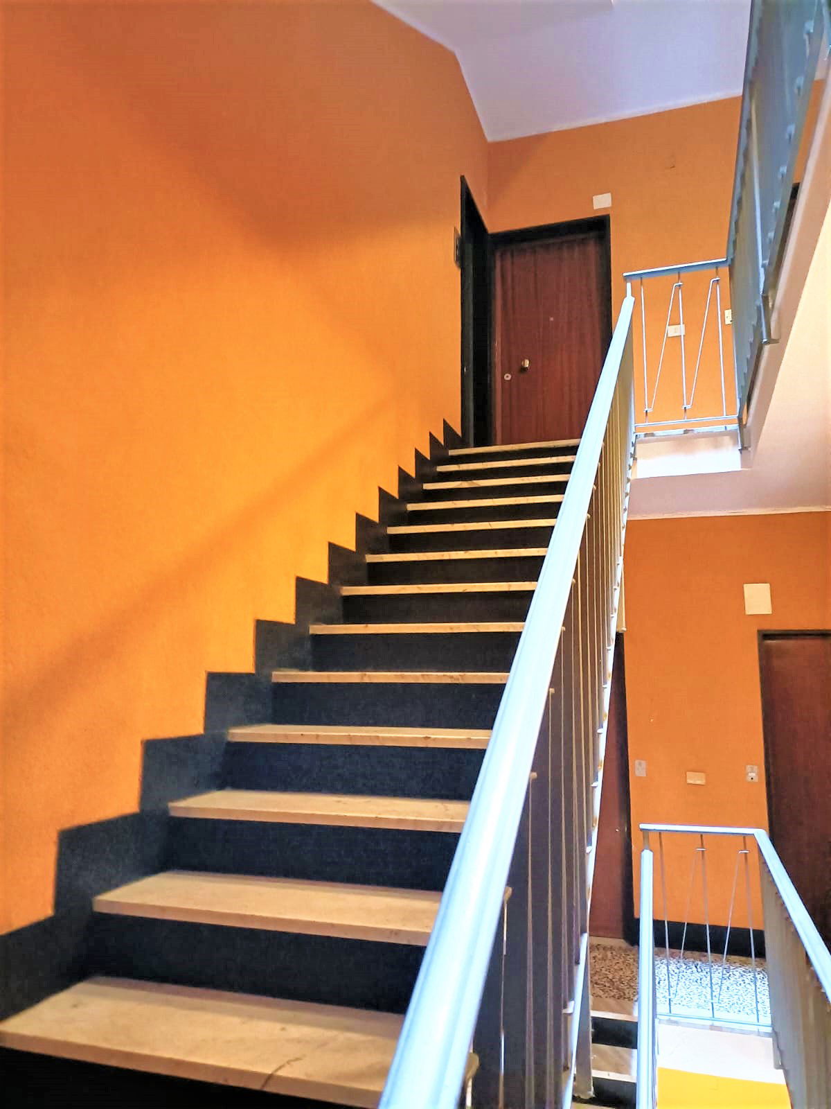 Estudio Independiente Rapallo 268052