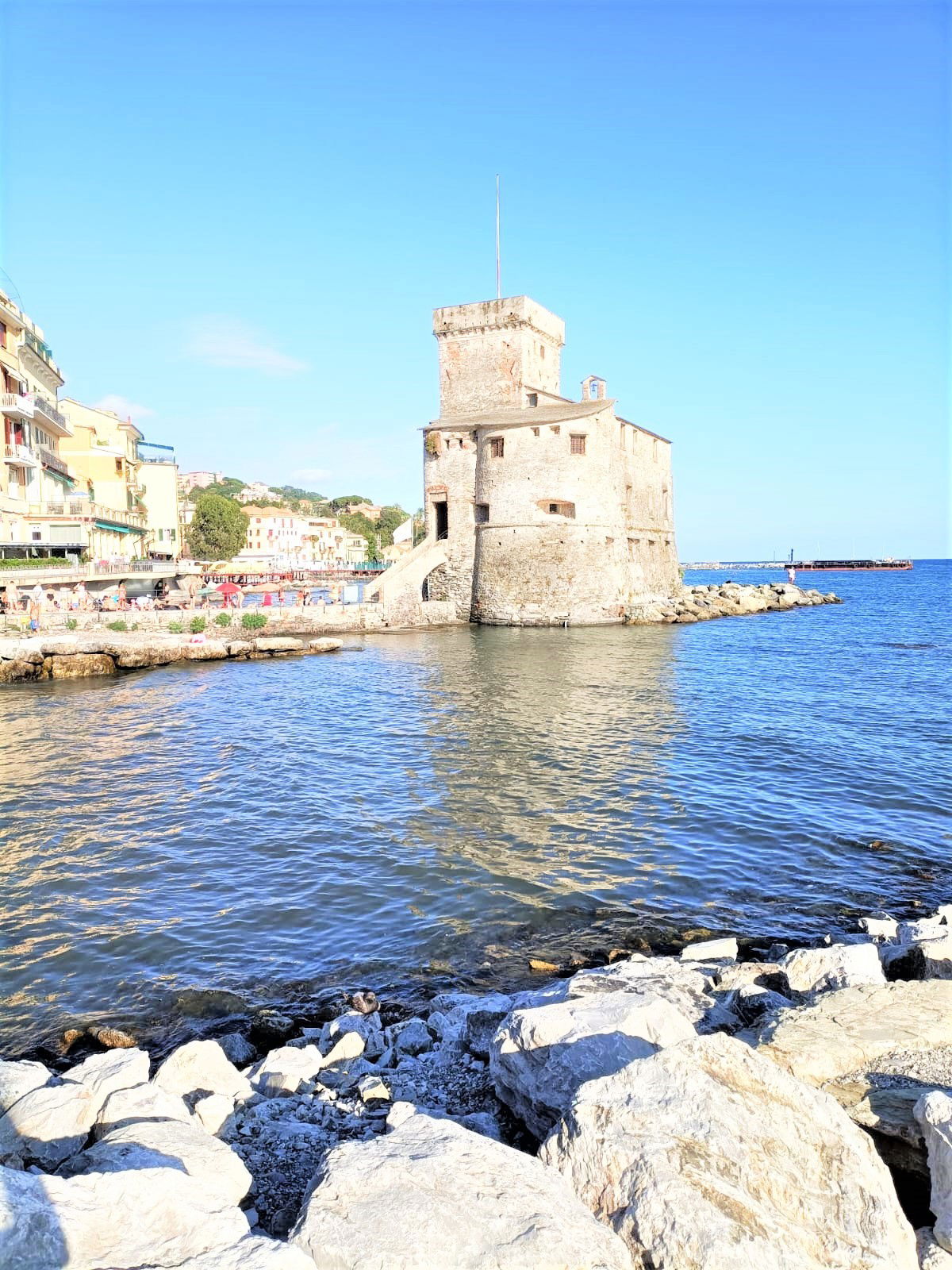 Estudio Independiente Rapallo 268052