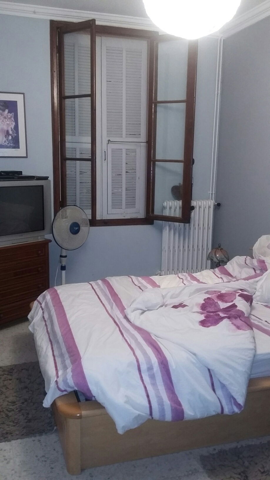 Kolokation Menton 144251