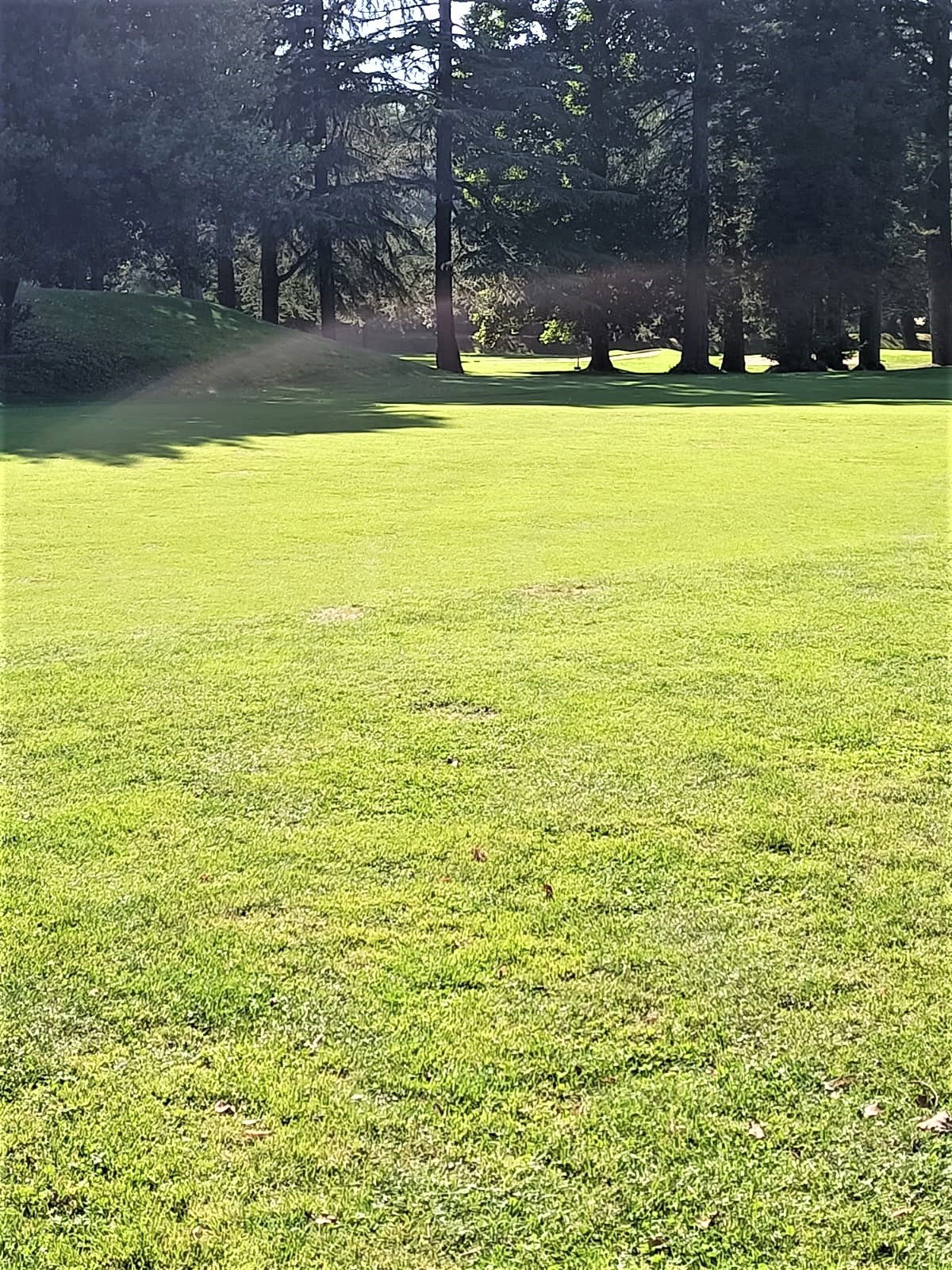 Niezależne Studio Rapallo 268052