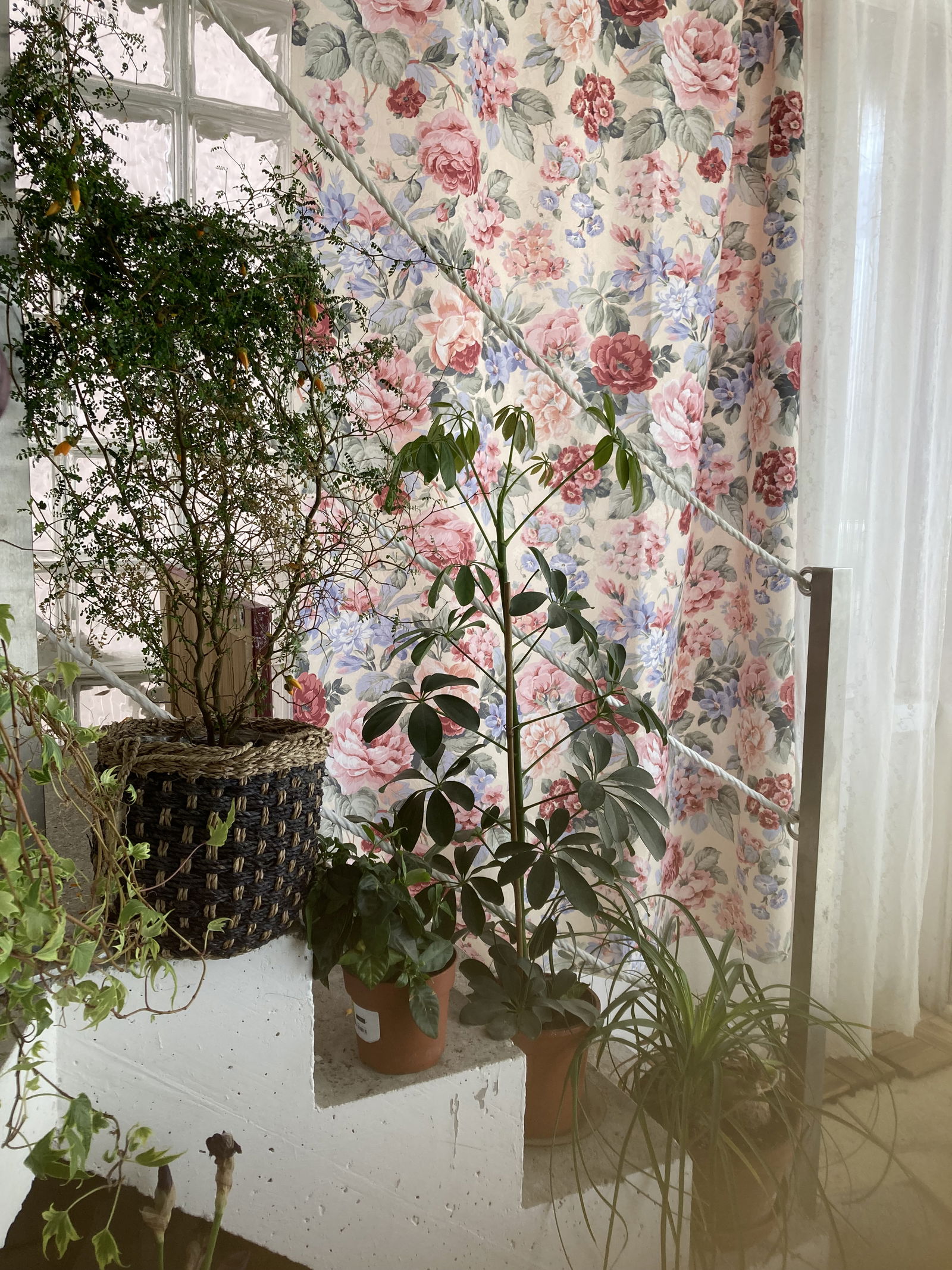 Chambre Chez L'habitant Saint-Gingolph 370180