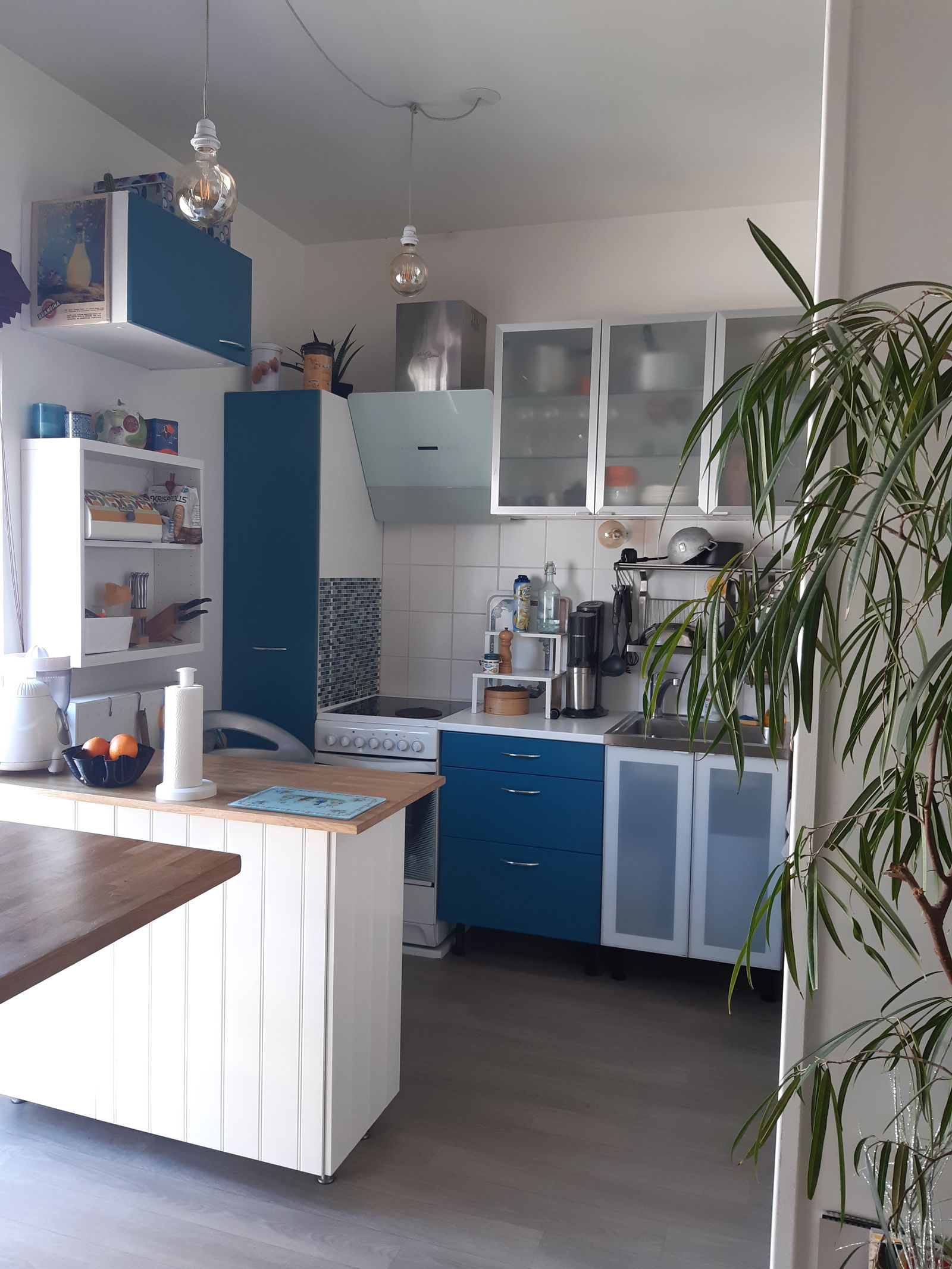 Gastfamilie Paris 46371
