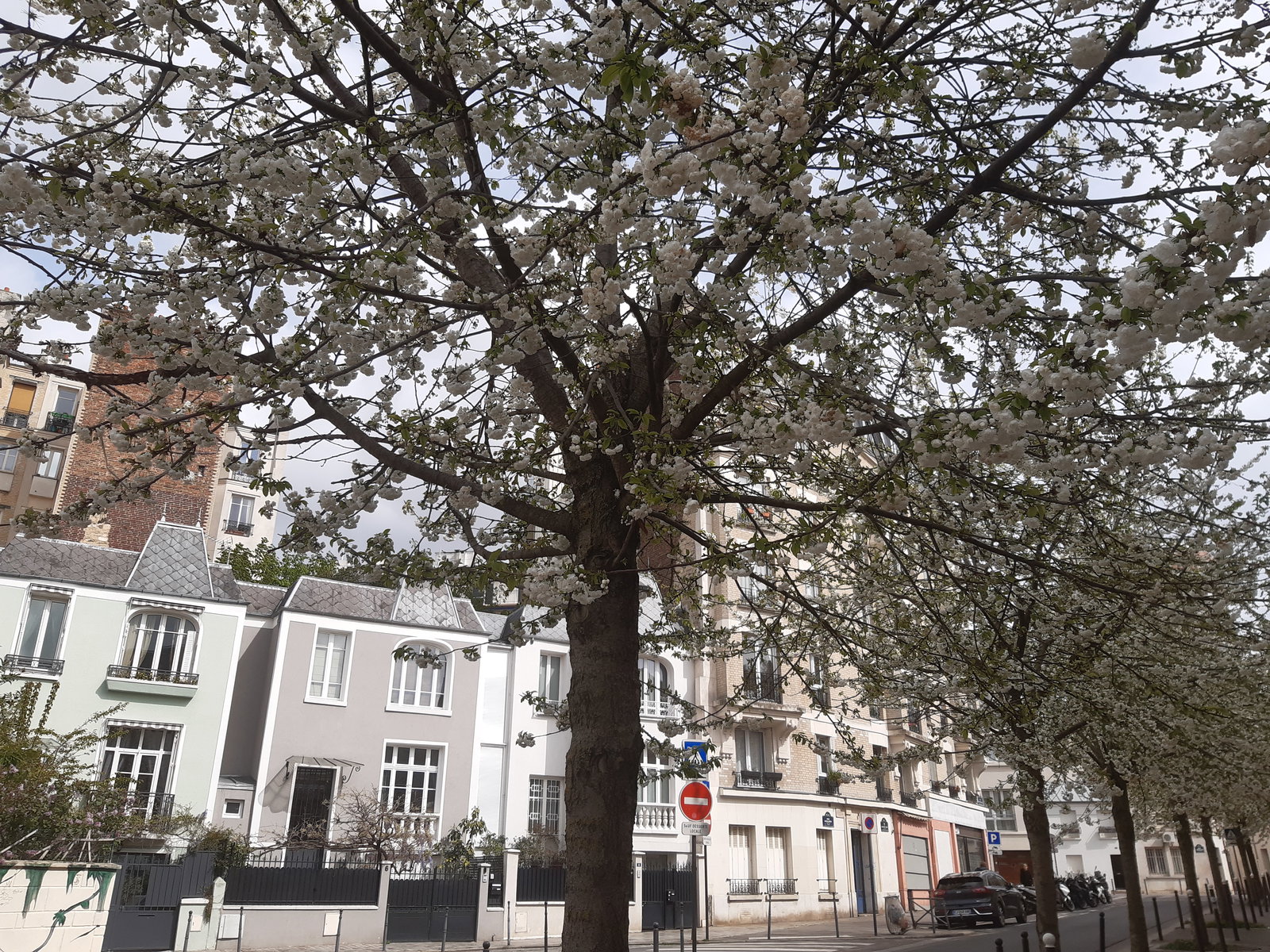 Gastfamilie Paris 46371