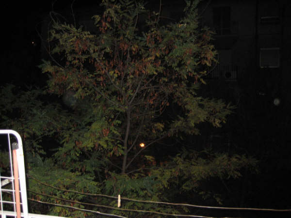 Hjemmeophold Zaragoza 117506