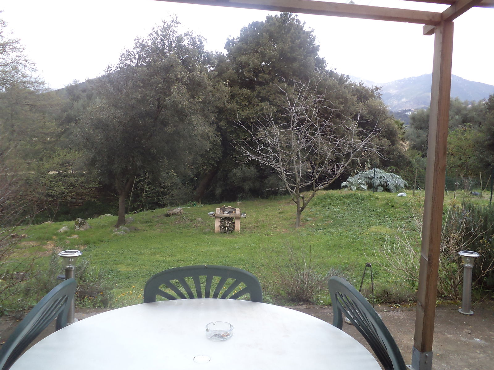 Uafhængigt Studie Oletta 43540