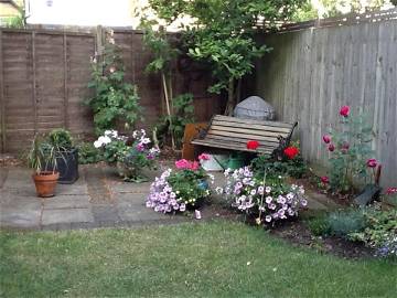 Chambre chez l'habitant à louer à London - photo 2 : jardin-2