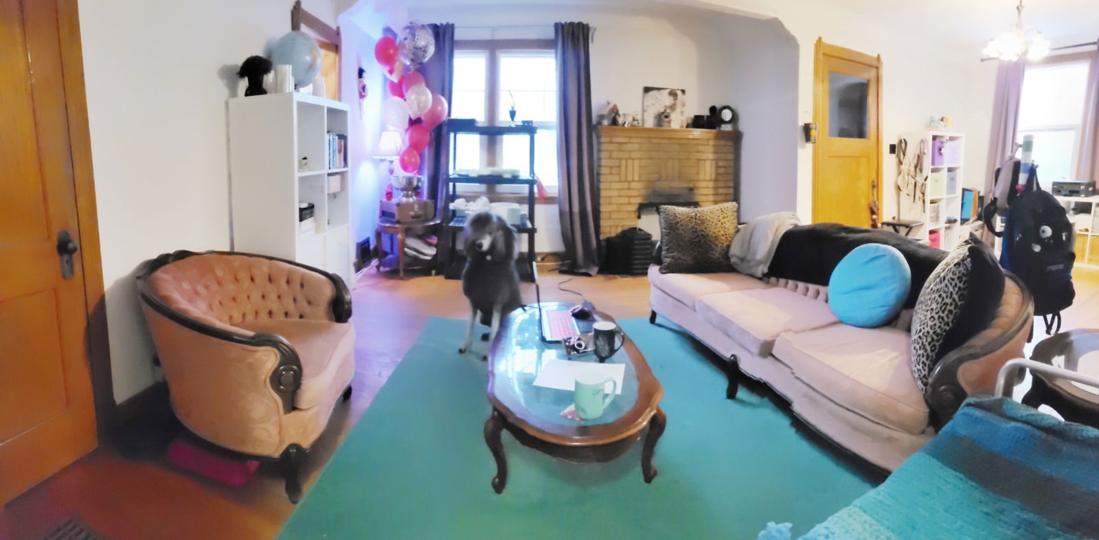 Homestay Ottawa 342837